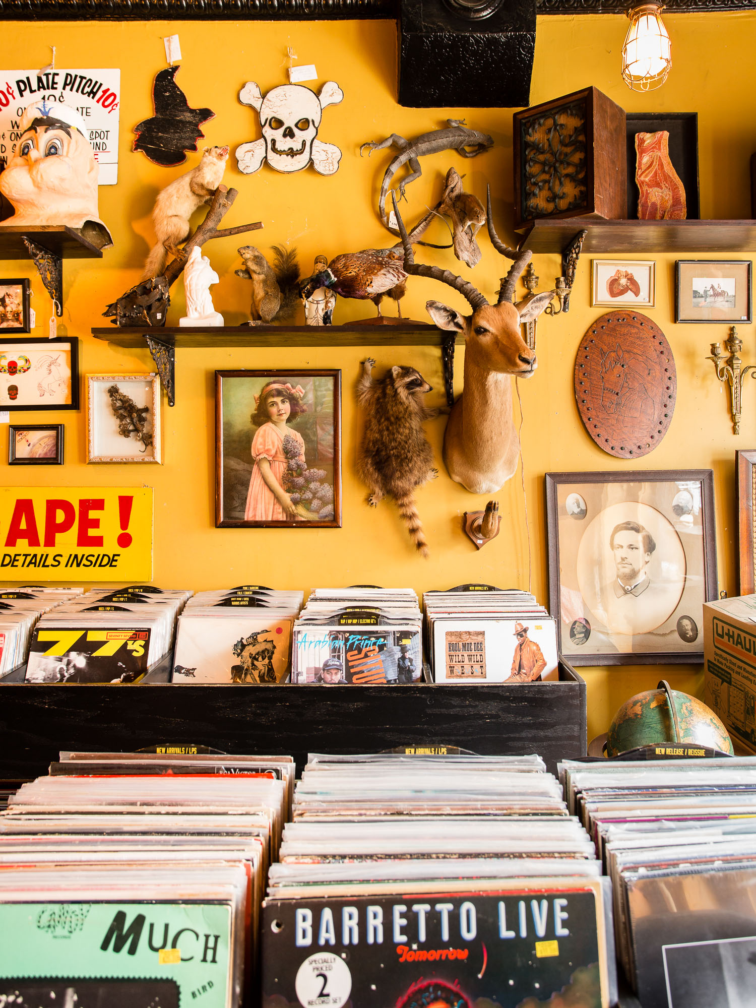 Bins of records and wall decor Black Gold, a vinyl, coffee, and antique shop in Brooklyn's Carroll Gardens.