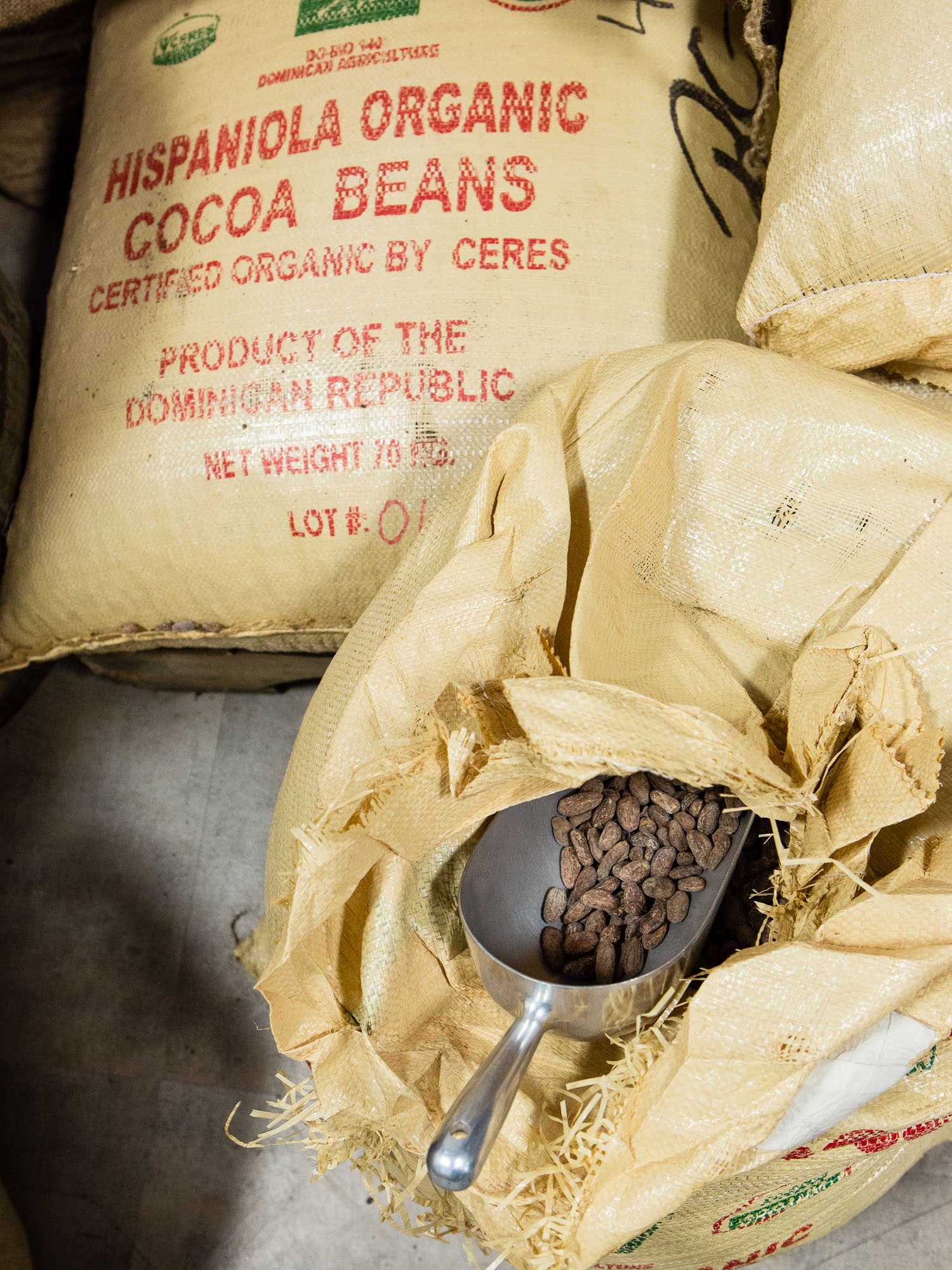 Bags of organic cocoa beans at Raaka Chocolate in Red Hook.