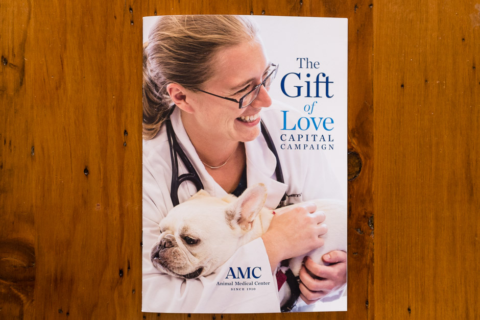 A veterinarian and a dog at the Animal Medical Center on the cover of a capital campaign brochure