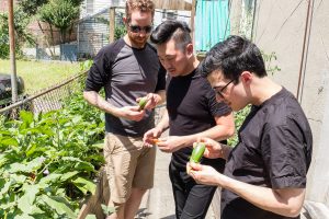 Chefs checking out fresh produce at Choy Division, a backyard farm in Astoria