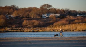 A man walks a dog along a river's shore on an autumn day