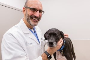 A veterinarian and a dog, for the Animal Medical Center