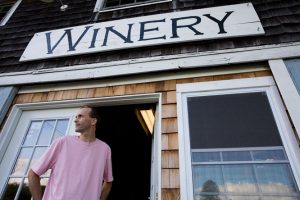 Portrait of Keith Bodine, Sweetgrass Farm and Winery, Union, Maine